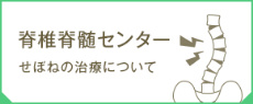 脊椎脊髄センター せぼねの治療について 脊椎脊髄センター せぼねの治療について